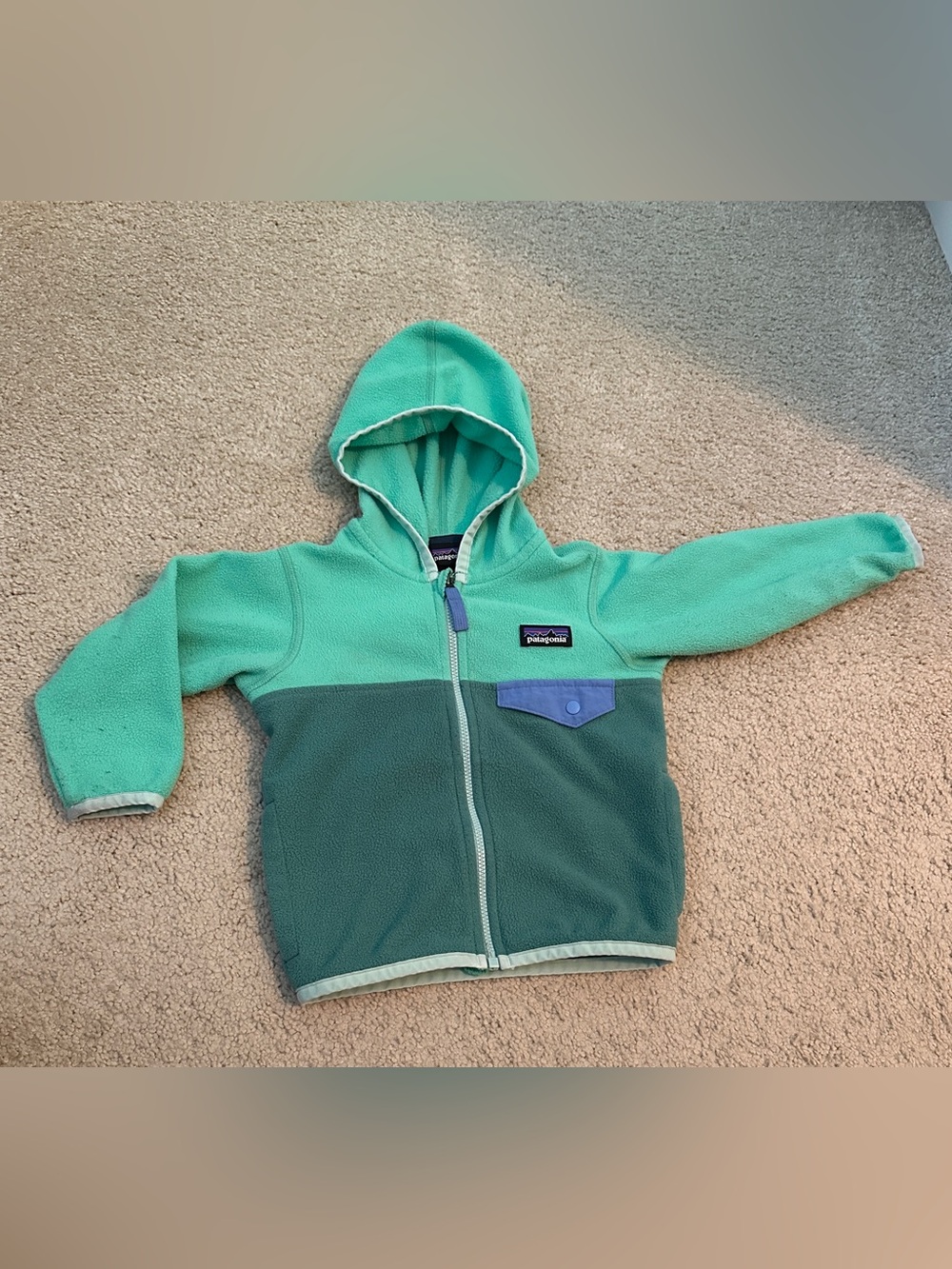 Toddler Patagonia Micro D Snap-T Hooded Fleece Jacket 12-18 Months